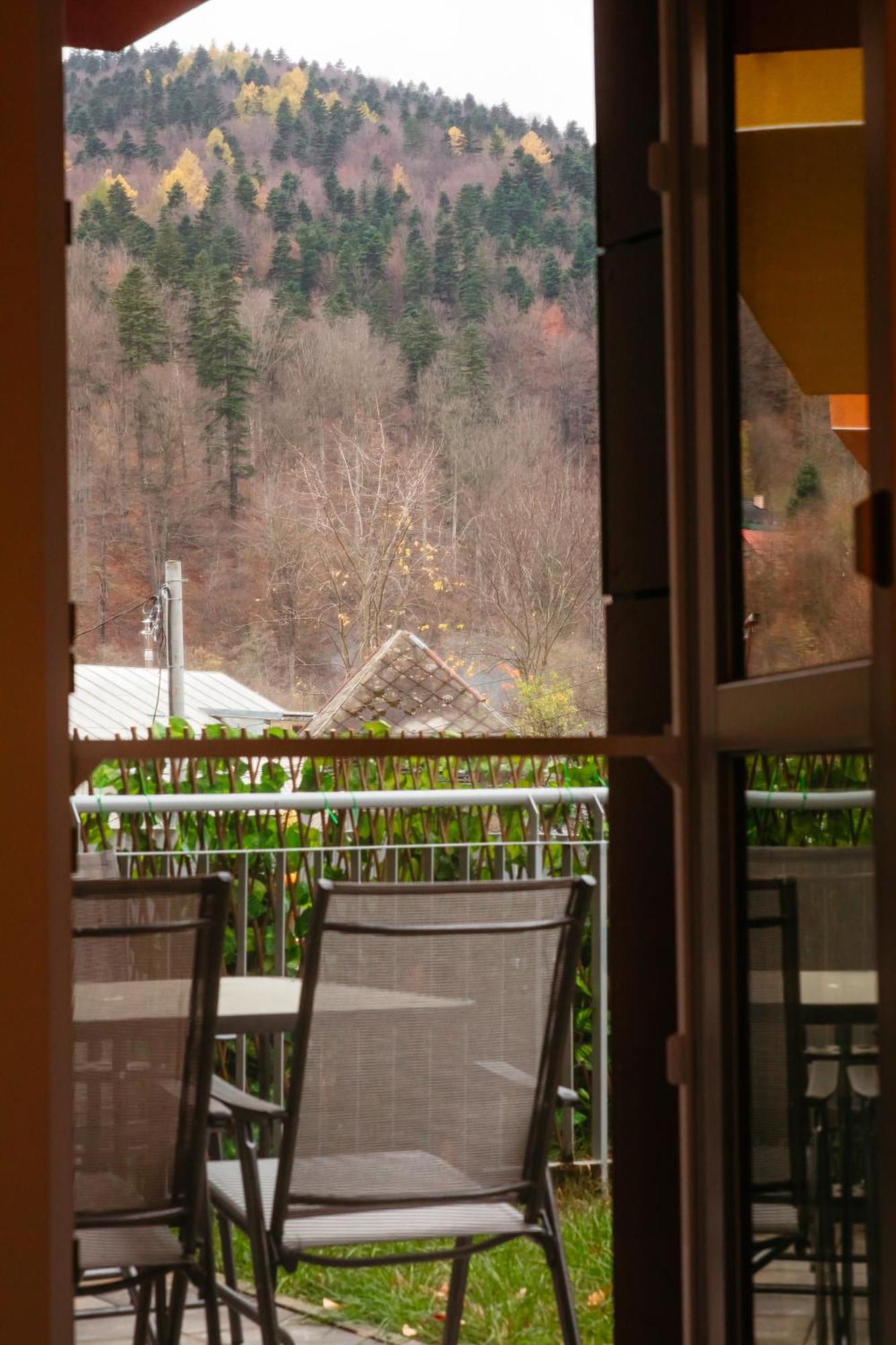 Mountain Retreat Leilighet Sinaia Eksteriør bilde
